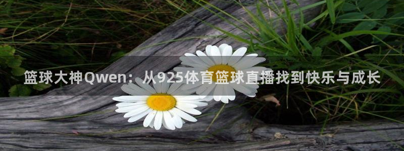 98nba篮球中文网录像回放：篮球大神Q