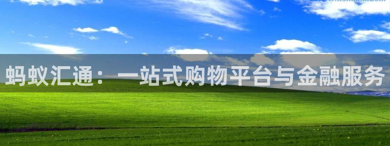 98篮球网录像高清回放：蚂蚁汇通：一站式
